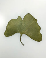 Ginkgo Leaf Brooches
