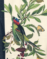 Black Retro Birds Scarf