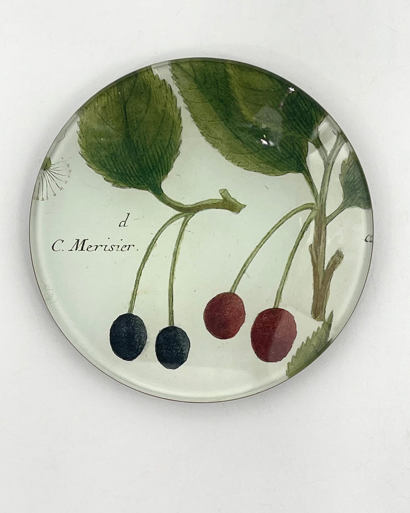 John Derian 4" Round Plates