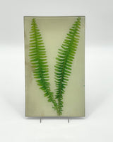 John Derian 7 x 11 1/2" Trays