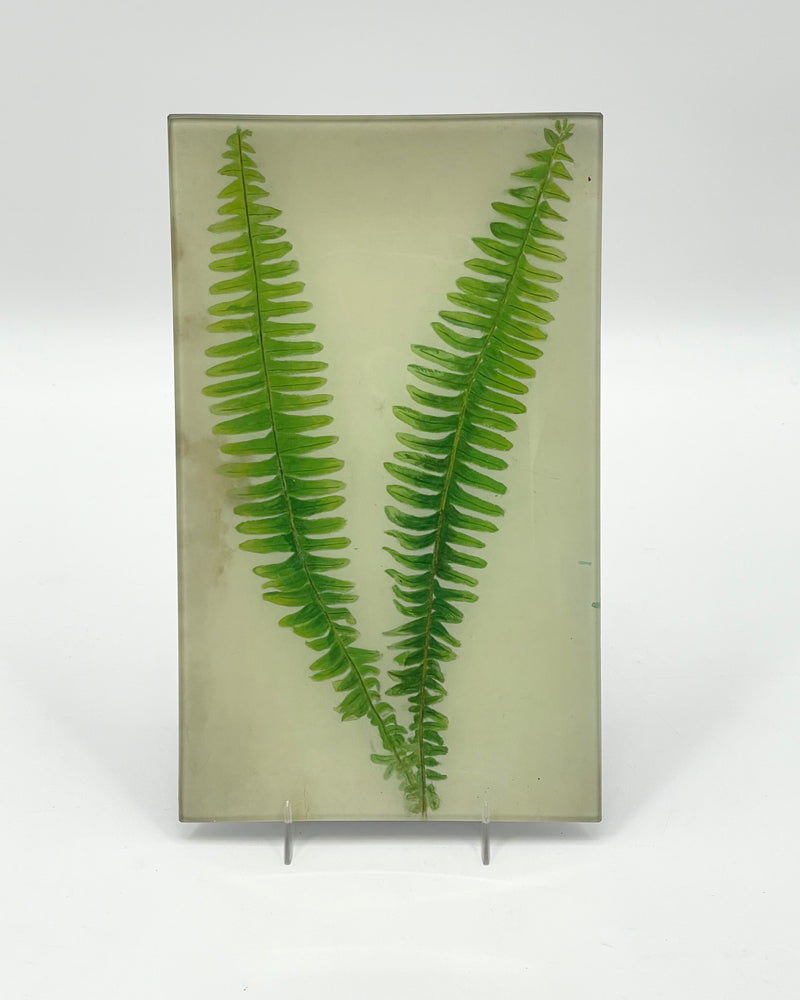 John Derian 7 x 11 1/2" Trays