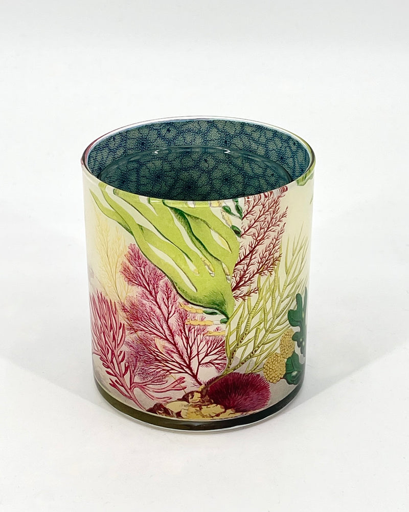 John Derian Desk Cups
