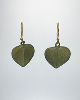 Eucalyptus Leaf  Earrings