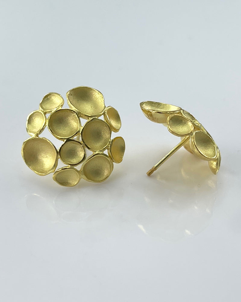 Sarah Richardson Multi Pod Earrings