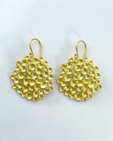 Sarah Richardson Large Champagne Pod Earrings
