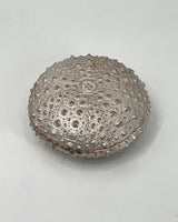 Pewter Sea Urchin Box