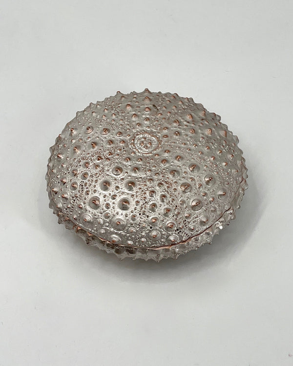 Pewter Sea Urchin Box