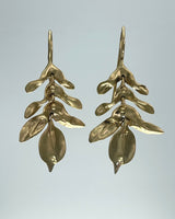 TenThousandThings 10kt. Gold Wild Fern Earrings