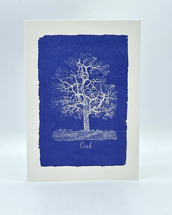 Natural History Oak Tree Card