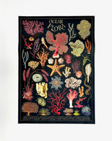 Posters / Giftwrap