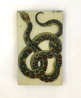 John Derian 7" x 11 1/2" Rectangular Trays