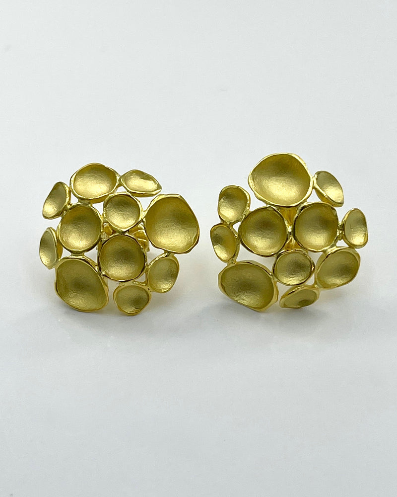 Sarah Richardson Multi Pod Earrings